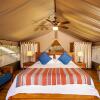 Отель Isla Chiquita Glamping Hotel, фото 10