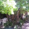 Отель Onze Rust Guest House and caravanpark, фото 7