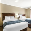 Отель Comfort Suites Houston IAH Airport - Beltway 8, фото 5