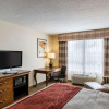 Отель Comfort Inn & Suites, фото 6