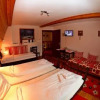 Отель Pensiunea Nisztor, фото 1
