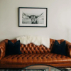 Отель Stellar Suites, фото 2