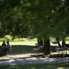 Отель Villa di Campo, фото 17