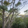 Отель Sydney, Pittwater YHA, фото 12