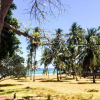 Отель Baobab Beach House Bed & Breakfast, фото 12