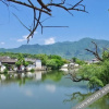 Отель Qingqin Hostel, фото 3