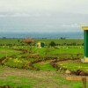 Отель Amanya Camp1-bed King Lion Tent in Amboseli NP, фото 28