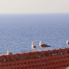 Отель Blu Bed & Breakfast, фото 2