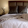 Отель Kudumela Bush Lodge, фото 3
