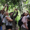 Отель Corcovado Adventures Tent Camp, фото 22