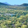 Отель Tucson Vacation House in a Wildlife Sanctuary, фото 8