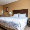 Отель Best Western Plus South Edmonton Inn & Suites, фото 3