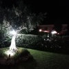 Отель Appartamenti a Pochi Passi dal Mare, фото 21