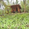 Отель Milk House Cottage Udawalawe, фото 22