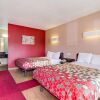 Отель Econo Lodge Inn & Suites, фото 4