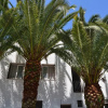Отель Motel de Porticcio, фото 3