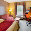 Отель Comfort Inn Altavista – Lynchburg South, фото 3