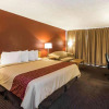 Отель Red Roof Inn Williamsport, фото 4