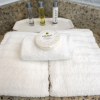 Отель The Enclave Hotel and Suites, фото 29