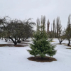 Отель The Orchard House, Wanaka, фото 16