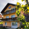 Отель Guest House Toic, фото 2