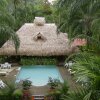 Отель La Palapa Eco Lodge Resort, фото 8