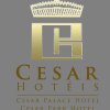 Отель César Park Juiz de Fora Hotel в Жуис-ди-Форе
