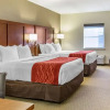 Отель Comfort Inn Lancaster - Rockvale Outlets, фото 45