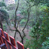 Отель Apartamento Bosque Águas de Lindóia, фото 4