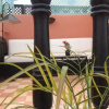 Отель Riad Mamma Amir, фото 13