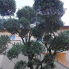 Отель Villa Angelina Jardin, фото 16