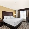 Отель Cobblestone Hotel & Suites - International Falls, фото 6