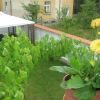 Отель Velingrad La Casa, фото 12