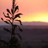 Отель Wallaby Ridge Retreat, фото 14