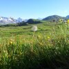 Отель Berggasthaus Tannalp, фото 22