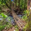 Отель Posada Río Celeste La Amistad, фото 32