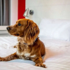 Отель Ibis Styles Glasgow Central, фото 21
