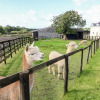 Отель Saddlers Cottage, Berllandeg Farm, фото 7