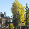 Отель Durango Ski Condo, фото 4