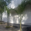 Отель Miami Beach, фото 16