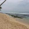 Отель Asiri Beach Hotel, фото 19