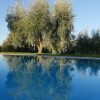 Отель Agriturismo La Pieve, фото 10
