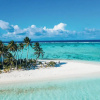 Отель Riu Palace Maldivas - All inclusive, фото 21