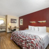 Отель Red Roof Inn Buffalo - Niagara Airport, фото 1
