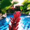 Отель Gopala Villa Ubud, фото 1