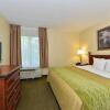 Отель Comfort Inn & Suites, фото 4