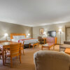 Отель Comfort Inn & Suites Goshen - Middletown, фото 45