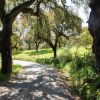 Отель Country Farmhouse in Montemor-o-novo With Swimming Pool, фото 29