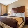 Отель Comfort Inn And Suites, фото 14