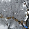 Отель Jiangbian Renjia Sheying Jidi Inn, фото 5
